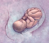 Obstetras e Obstetrícia em Aracaju