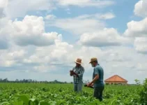Semana Oficial da Engenharia e Agronomia