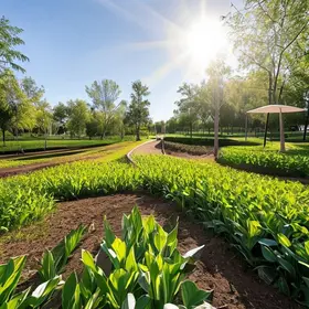 Parque da Sementeira