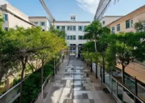 período de matrículas