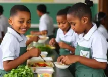 refeições adaptadas e saudáveis