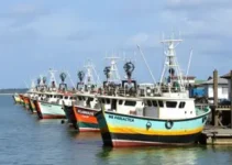 terminais pesqueiros