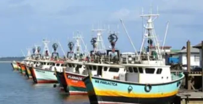 terminais pesqueiros