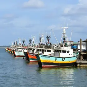 terminais pesqueiros