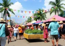 comércio junino