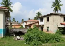 imóveis abandonados Aedes aegypti
