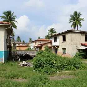 imóveis abandonados Aedes aegypti