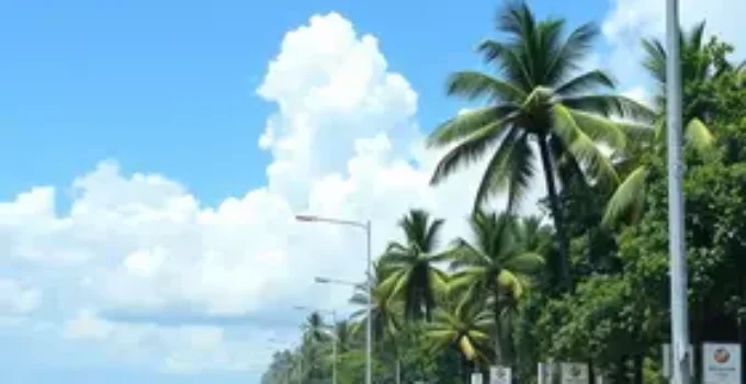 lavadores de veículos
