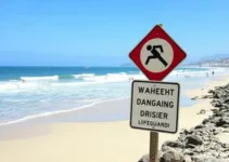 Praia dos Artistas