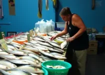 variação de preços pescados