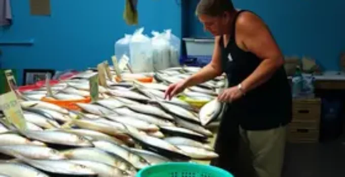 variação de preços pescados