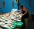 variação de preços pescados