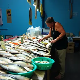 variação de preços pescados