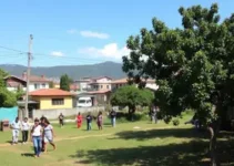 regularização fundiária