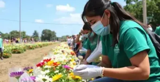 ação de saúde para margaridas