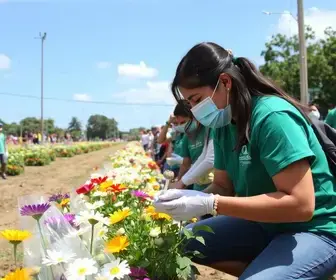 ação de saúde para margaridas