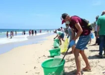 Dia Mundial da Limpeza
